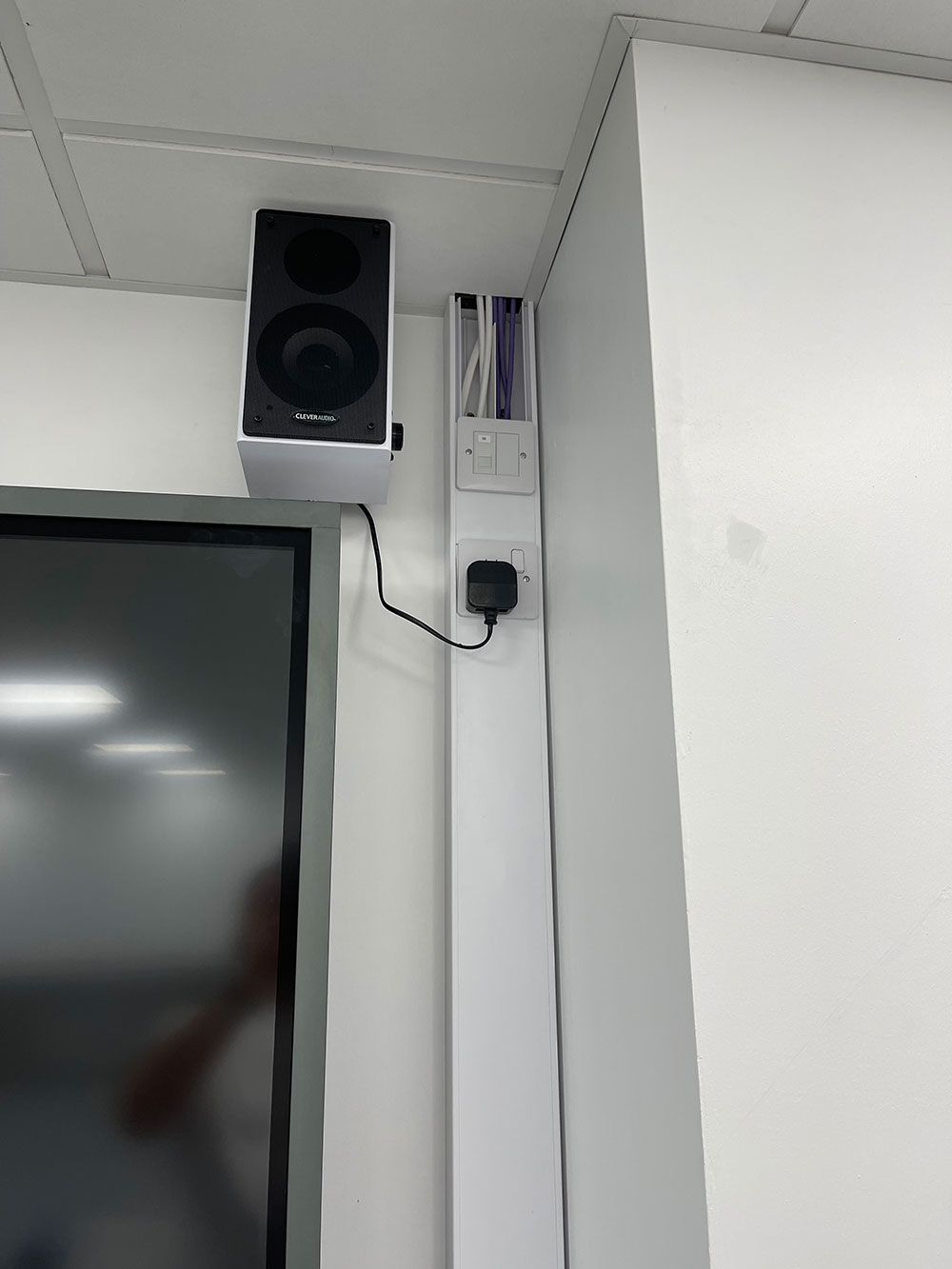 speaker mounted